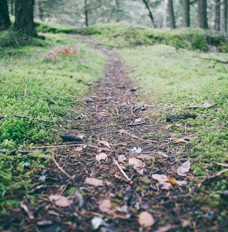 Berni Woods